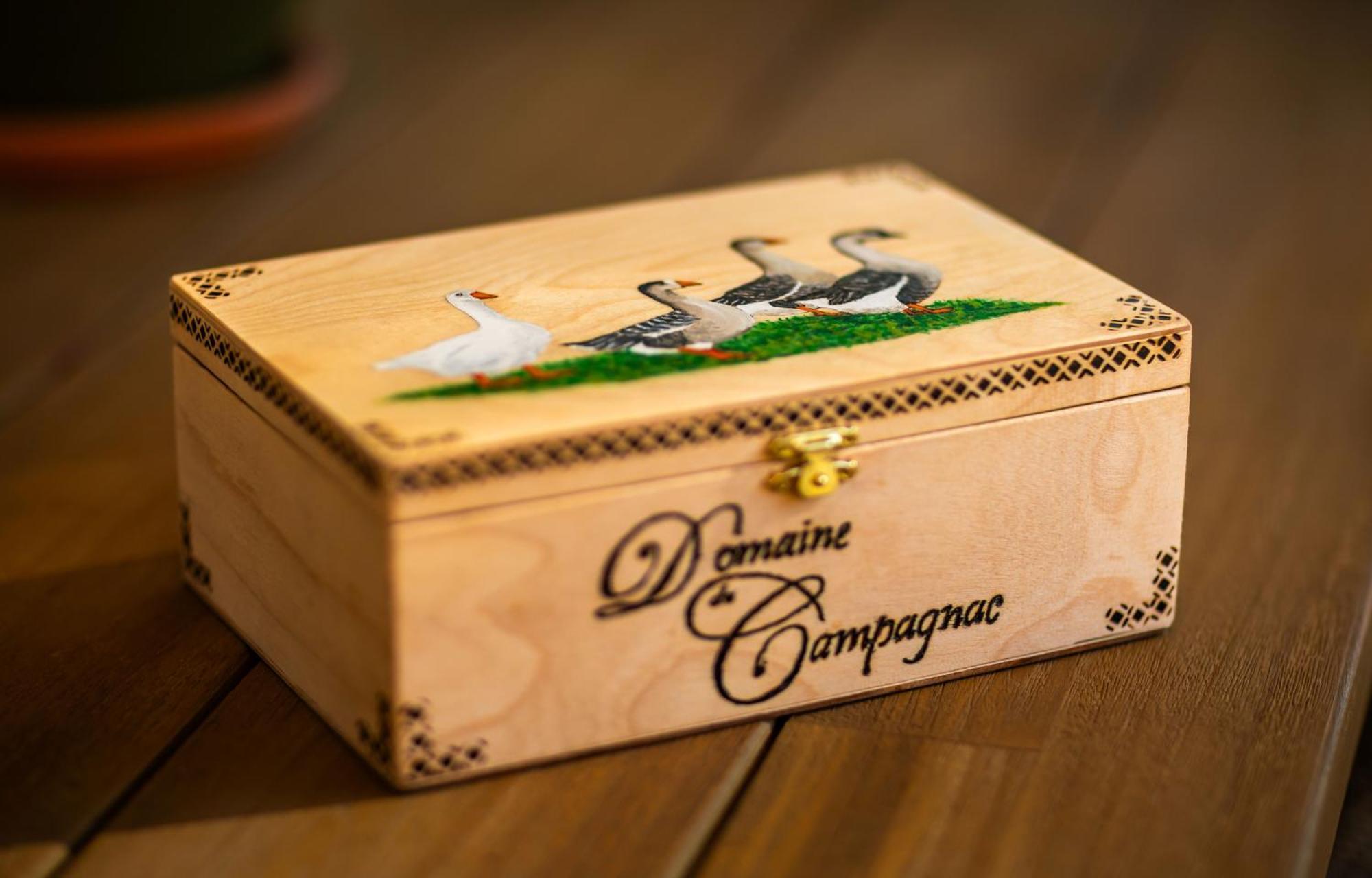 Domaine De Campagnac - Spa & Sauna Carsac-Aillac Exteriér fotografie